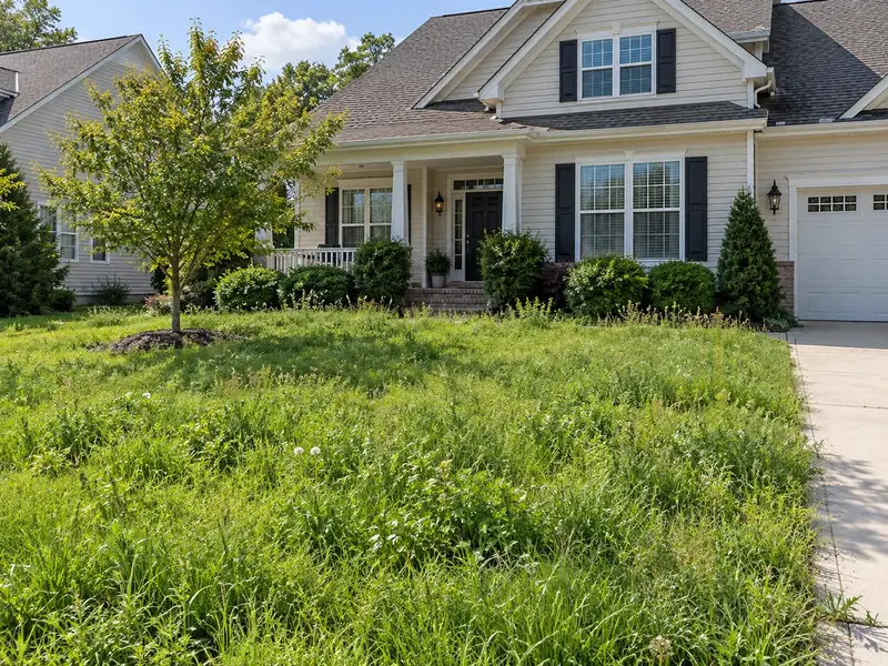 Front yard before: overgrown, uneven grass with weeds along the driveway
